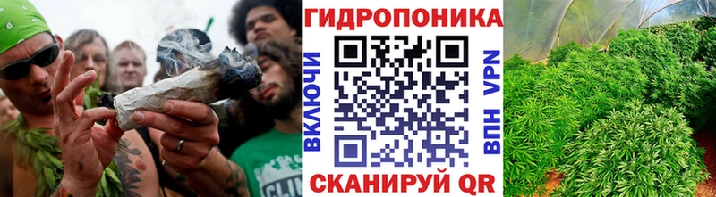 Где найти наркотики Славск Кокаин  Канабис  Меф  Галлюциногенные грибы  ГАШИШ  Alpha-PVP 